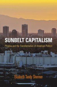bokomslag Sunbelt Capitalism