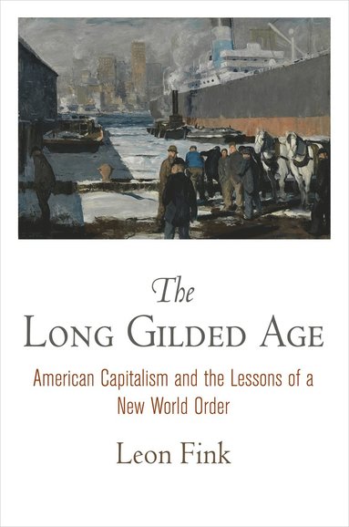 bokomslag Long Gilded Age