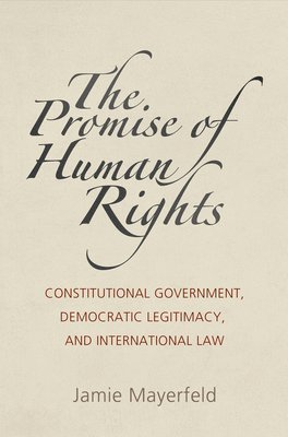 The Promise of Human Rights 1