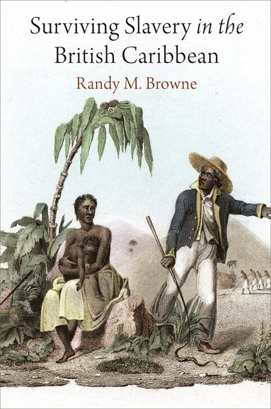 bokomslag Surviving Slavery in the British Caribbean