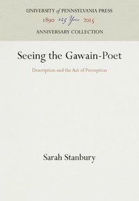 bokomslag Seeing the Gawain-Poet