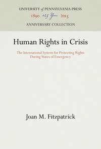 bokomslag Human Rights in Crisis