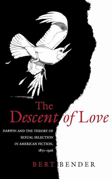 Bert Bender - Descent of Love, Inbunden