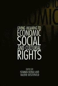 bokomslag Giving Meaning to Economic, Social, and Cultural Rights