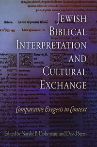 bokomslag Jewish Biblical Interpretation and Cultural Exchange