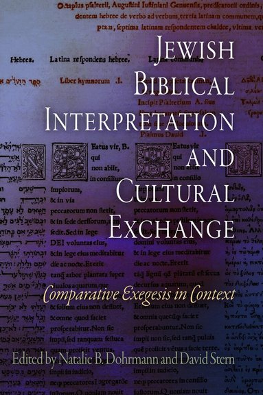 Natalie B. Dohrmann, David Stern - Jewish Biblical Interpretation and Cultural Exchange, Inbunden