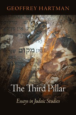 bokomslag The Third Pillar