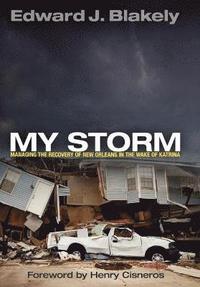 bokomslag My Storm