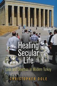 bokomslag Healing Secular Life