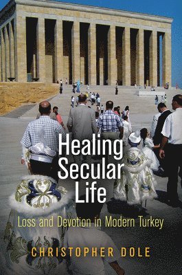 bokomslag Healing Secular Life