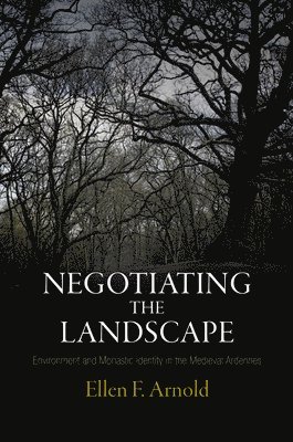 Ellen F. Arnold, Ellen F Arnold - Negotiating the Landscape, Inbunden