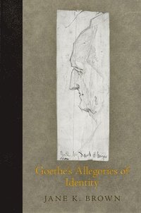 bokomslag Goethe's Allegories of Identity