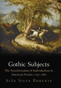 bokomslag Gothic Subjects