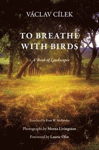 bokomslag To Breathe with Birds