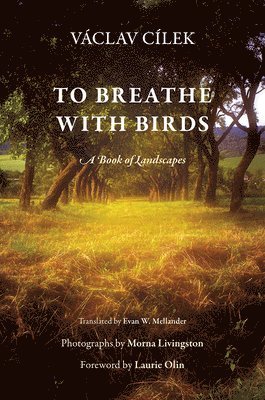To Breathe with Birds 1