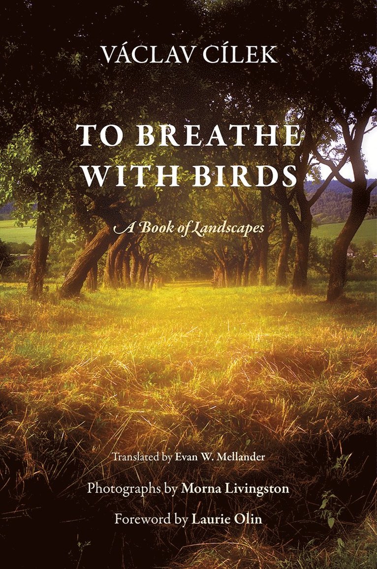 Václav Cílek - To Breathe with Birds, Inbunden