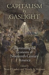 bokomslag Capitalism by Gaslight