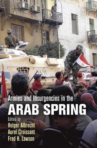 bokomslag Armies and Insurgencies in the Arab Spring