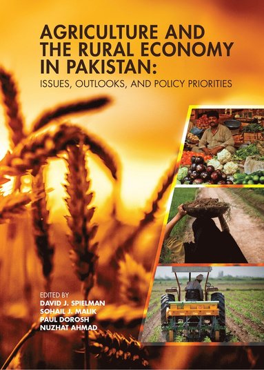 bokomslag Agriculture and the Rural Economy in Pakistan