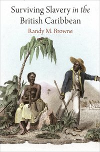 bokomslag Surviving Slavery in the British Caribbean