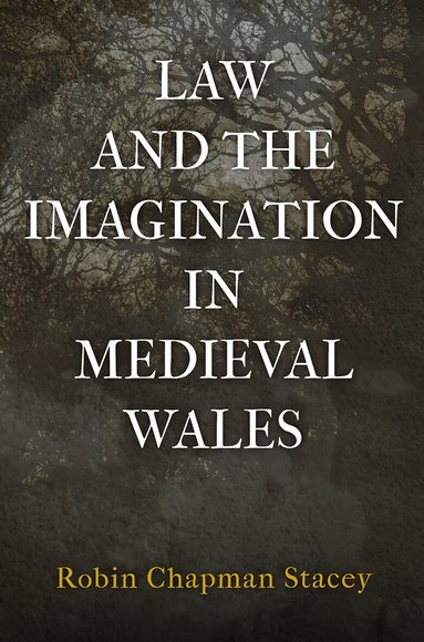 Robin Chapman Stacey - Law and the Imagination in Medieval Wales, Inbunden