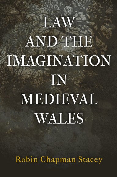 bokomslag Law and the Imagination in Medieval Wales