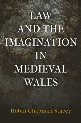 Robin Chapman Stacey - Law and the Imagination in Medieval Wales, Inbunden