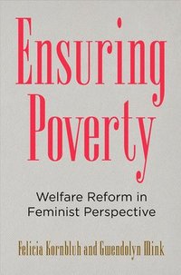 bokomslag Ensuring Poverty