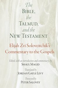 bokomslag The Bible, the Talmud, and the New Testament