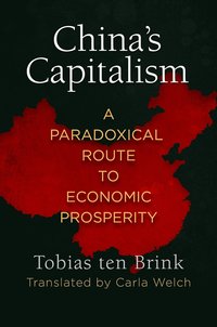 bokomslag China's Capitalism