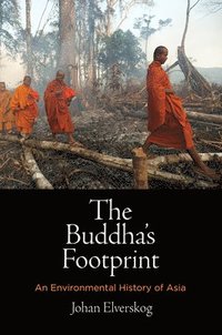bokomslag The Buddha's Footprint