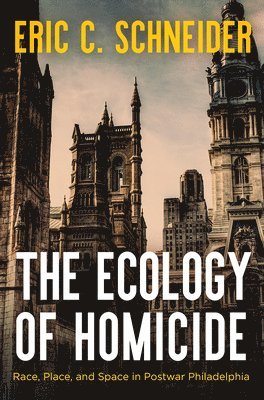 bokomslag The Ecology of Homicide