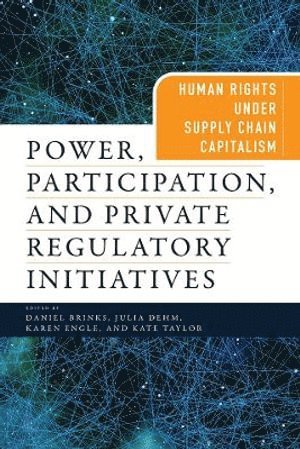 Daniel Brinks, Julia Dehm, Karen Engle, Kate Taylor - Power, Participation, and Private Regulatory Initiatives, Inbunden