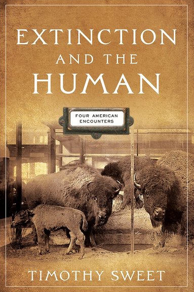 Timothy Sweet - Extinction and the Human, Inbunden