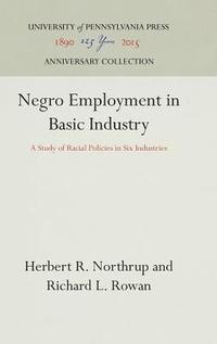 bokomslag Negro Employment in Basic Industry