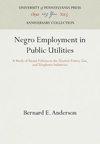bokomslag Negro Employment in Public Utilities