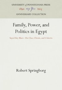 bokomslag Family, Power, and Politics in Egypt