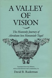 bokomslag A Valley of Vision: The Heavenly Journey of Abraham Ben Hananiah Yagel