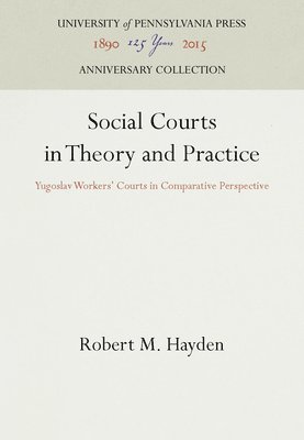 bokomslag Social Courts in Theory and Practice