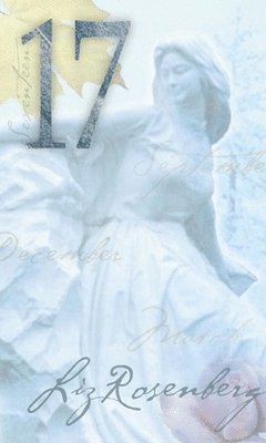 Liz Rosenberg - 17, Inbunden