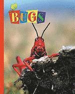 bokomslag Bugs