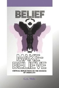 bokomslag Belief and Make-Believe