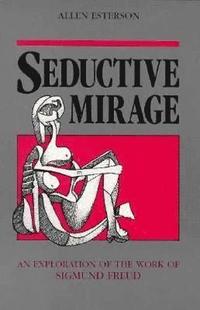 bokomslag Seductive Mirage