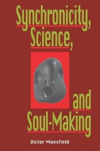 bokomslag Synchronicity, Science, and Soulmaking