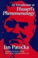 bokomslag Introduction to Husserl's Phenomenology