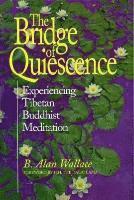 bokomslag Bridge of Quiescence