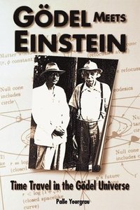 bokomslag Godel Meets Einstein