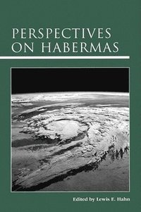 bokomslag Perspectives on Habermas