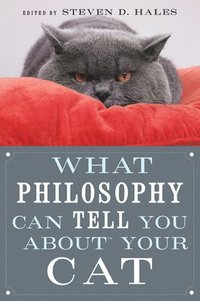 bokomslag What Philosophy Can Tell You about Your Cat