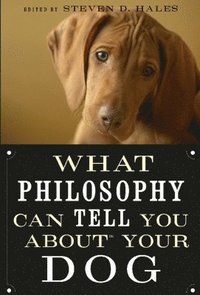 bokomslag What Philosophy Can Tell You about Your Dog